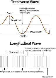 Maybe you would like to learn more about one of these? Characteristics Of Longitudinal And Transverse Waves Class 11 Physics Topic 4 Oscillations And Waves Dominik R And The Essential Characteristic Of A Longitudinal Wave That Distinguishes It From Other