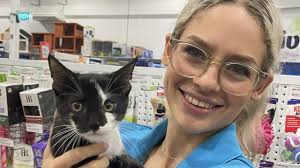 PETstock aren't kitten around with its latest pet adoption drive at  Smithfield this weekend.