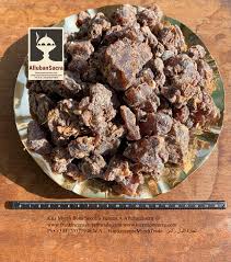 Image result for Commiphora kua