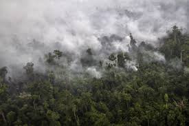 Solves the dry season problem too. Southeast Asia Choking On Haze Struggles For A Solution The New York Times