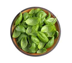 Maybe you would like to learn more about one of these? Fresh Basil Leaves In Wooden Bowl Isolated On White Top View Stock Image Image Of Diet Ingredient 163609791