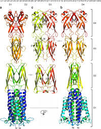 Ce sac réversible ne passera pas inaperçu sur les vos commentaires, vos messages sont très encourageants. Type Ix Secretion System Porm And Gliding Machinery Gldm Form Arches Spanning The Periplasmic Space Nature Communications