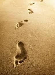 Search Frank Mollo Obituaries and Funeral Services