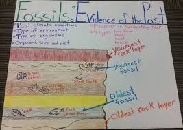 Fossils Evidence Of The Past Anchor Chart Fossils