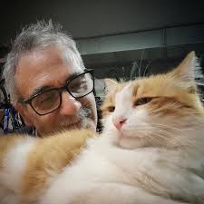 Tarço the Cat..King of the shop..😊 #cat #kedi #catworld #catsofinstagram  #cats