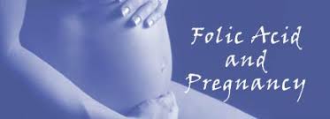 Image result for FOLIC ACID