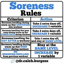 67 Likes 4 Comments Purefitness Puremarylebonefitness On Instagram Regrann From Dr Caleb B Soreness Athletic Training Sports Medicine Workout Soreness