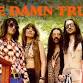 The Damn Truth event in Stowmarket