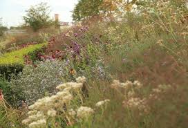 Sarah Price Landscapes Olympic Gardens North America Sensory Garden Olympic Garden Landscaping Inspiration