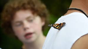 Photos: Camp Lionheart honors memory of Ellie