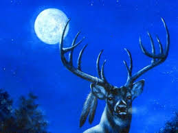 In this video, we explain the traditional names of the full moon along with some fascinating moon facts. Full Moon For July 2020 Buck Moon Full Buck Moon Full Moon July
