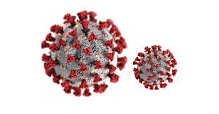 2,341 points · 153 comments. Gif Image Of Coronavirus