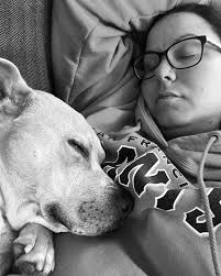 Bradshaw Animal Shelter added a...