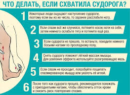Nogi V Ruki I Tyanut Krymskaya Gazeta Novosti Kryma