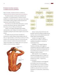 Muchas gracias me sirvio micho a mi me tocaba llevar unos materoskes para in experimwnto de ciencias y se me olvido mi libro. Coordinacion Y Defensa Del Cuerpo Humano Bloque I Tema I Apoyo Primaria
