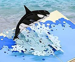 Loading your orca card is could be as quick as a trip to the store or going online. Amazon Com Cutpopup Orca Whale Card Pop Up 3d Birthday Card Pop Up For Daughter Son Nephew Niece Wonderful Gift For Children Kids Teenager Pre School On Birthday Pool Swim Party