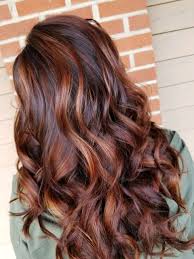 Preferiti Chestnut Hair Color Brunette Hair Color Chestnut Hair