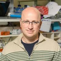 Gali Levi Email & Phone Number