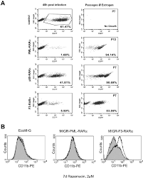 In the upper left hand corner of the screen, there is a timer that initial infected: Effect On Ecom G Cells Of X Rar A Fusion Proteins A Expression Of Download Scientific Diagram