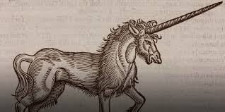 Image result for unicorn