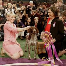 Image result for Autumn Rose 1958 Kelvinator