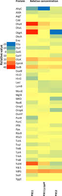 We did not find results for: Analysis Of Differentially Upregulated Proteins In Ptshicrr And Rpph Mutants In Escherichia Coli During An Adaptive Laboratory Evolution Experiment Springerlink