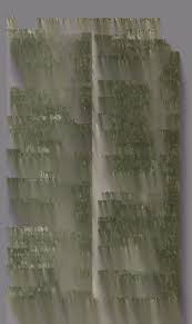 Image result for Erythrocephalum decipiens