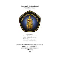 We did not find results for: Pdf Laporan Praktikum Botani Identifikasi Daun