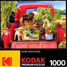 Kodak premium puzzles are designed from high quality photography. Stowaways Jigsaw Puzzle Free Shipping Toynk Toys