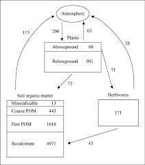 How many kilograms per cubic meter are contained in one gram per cubic centimeter? 1 Shortgrass Steppe Carbon Budget Units Of Pools Are Grams Per Square Download Scientific Diagram