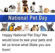 Find and save national love your pet day memes | from instagram, facebook, tumblr, twitter & more. National Pet Day Happy National Pet Day We Would Love To See Your Pets And Let Us Know What State You Are From Love Meme On Me Me
