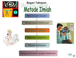 Check spelling or type a new query. Metode Ilmiah Biologi Pengertian Langkah Karakteristik Contoh