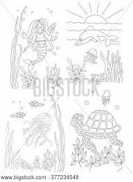 More 100 coloring pages from nature coloring pages category. Underwater Coloring Image Photo Free Trial Bigstock