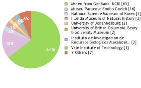 Image result for Bulbostylis trabeculata