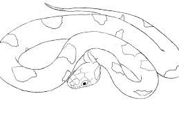 This tutorial shows the sketching and drawing steps from start to finish. How To Draw A Snake Draw Central