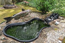 · first choose the place and make the soil stable enough to support a pond. Create Your Own Backyard Fishpond
