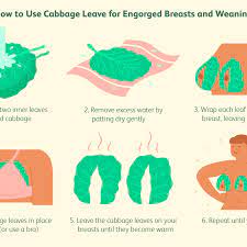 Cabbage Leaves For Breast Pain Engorgement And Weaning