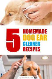 5 Homemade Dog Ear Cleaner Recipes Dog Ear Cleaner Homemade Dog Ear Cleaner Recipe Dog Ear Cleaner