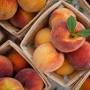 Peaches fruit from www.healthline.com