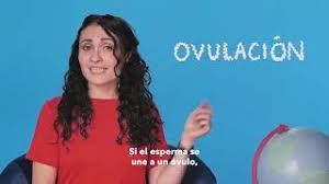 Cuanto Tiempo Tarda En Producirse Un Embarazo Despues De Tener Sexo