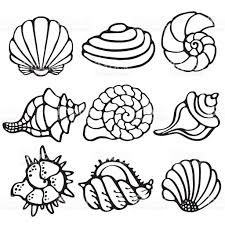 Maybe you would like to learn more about one of these? Images Of Cartoon Conch Shell Drawing