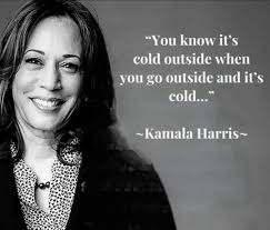 Way to Go Assemblymember Paula Elaine Kay!!