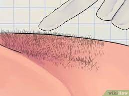 By the time she started waxing professionally in atlanta, in the year 2000, she had over 10 years of experience under her belt. Ein Brazilian Waxing Beim Mann Durchfuhren Wikihow