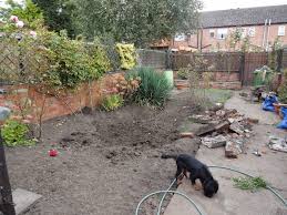 Check spelling or type a new query. Removing Concrete In The Garden Kezzabeth Diy Renovation Blog