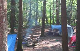North carolina state parks offer many exciting camping options, from cabins nestled in the forest to primitive beach camping. Camping In National Forests In North Carolina Carolina Outdoors Guide