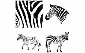 Download Zebra Animal Print Pattern Graphic By Crafteroks Creative Fabrica PSD Mockup Templates
