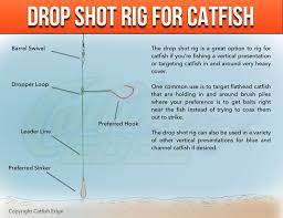 Use a palomar knot to tie the hook to your line. Drop Shot Rig For Heavy Cover Catfish