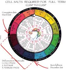 Cell Tissue Salts Universal Truth School