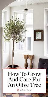 Pin On Plant Filled Homes