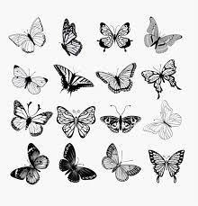 Pin By Michelle Evans On Drawing Small Butterfly Tattoo Butterfly Tattoo Designs Tiny Butterfly Tattoo